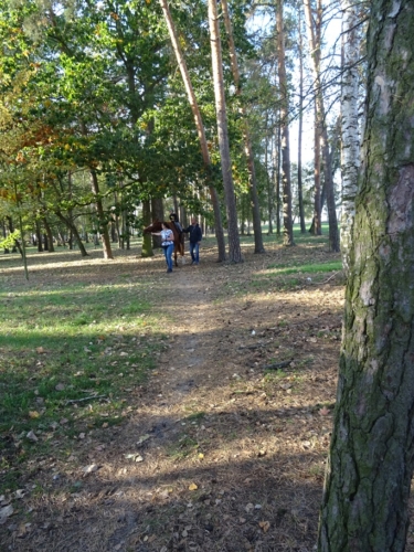 DSC01956-
