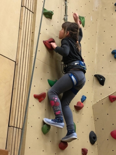 IMG-20190314-WA0397