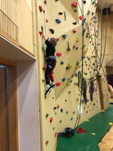 IMG-20190314-WA0462