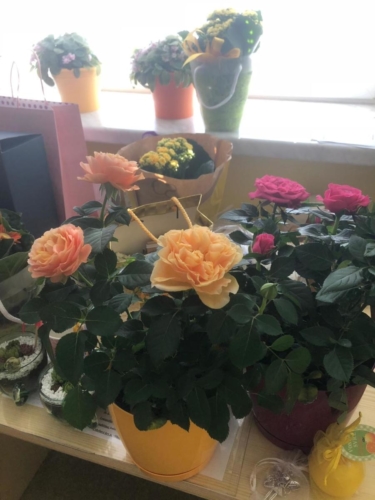 IMG-20190628-WA0036