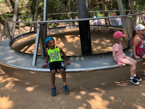 IMG-20190606-WA0009