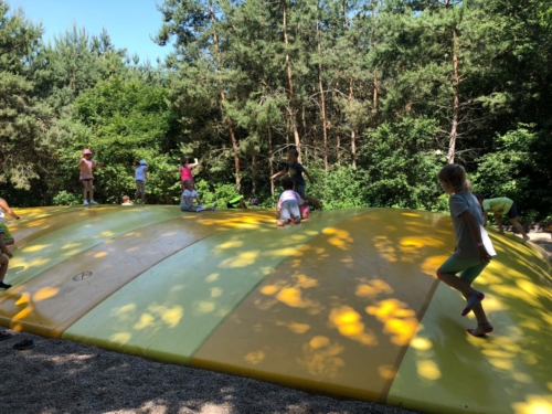 IMG-20190606-WA0023
