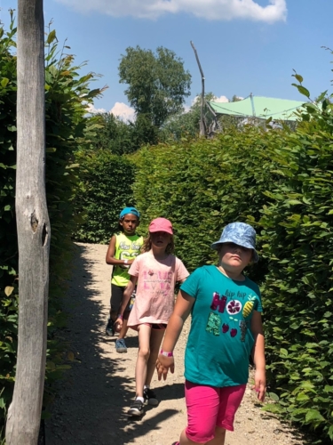 IMG-20190606-WA0024