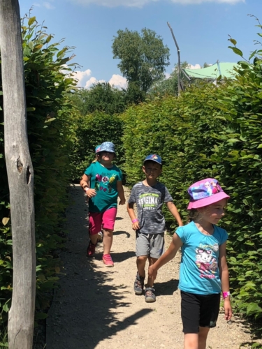 IMG-20190606-WA0025