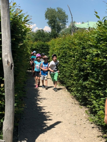 IMG-20190606-WA0026