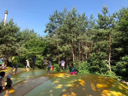 IMG-20190606-WA0029