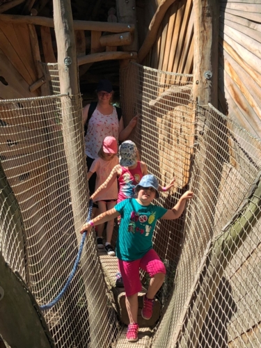 IMG-20190606-WA0031