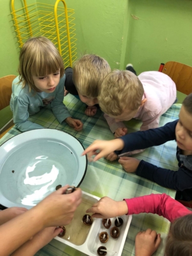 IMG-20190130-WA0014