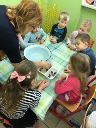 IMG-20190130-WA0015