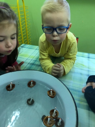 IMG-20190130-WA0217
