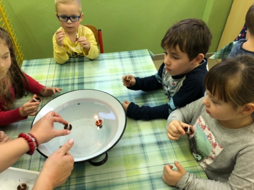 IMG-20190130-WA0231