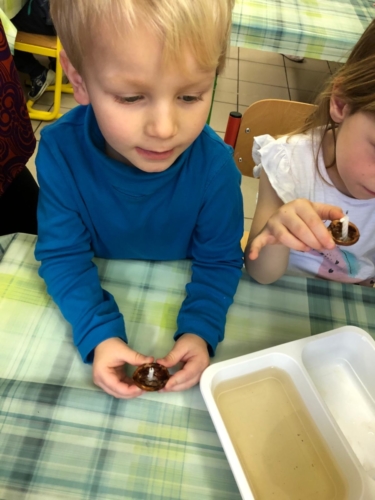 IMG-20190130-WA0237
