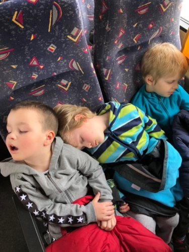 IMG-20190314-WA0005