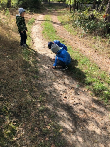 IMG-20180926-WA0001