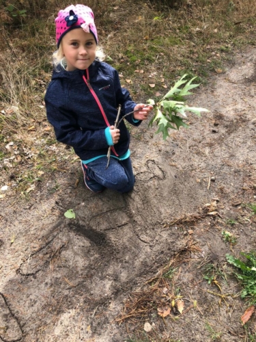 IMG-20180926-WA0009