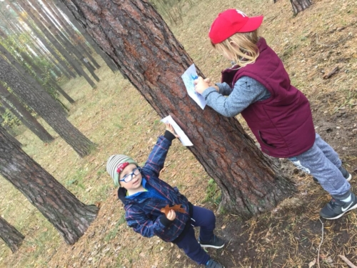 IMG-20181109-WA0021