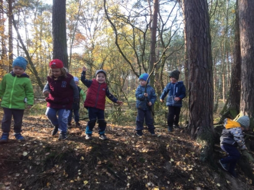 IMG-20181109-WA0047