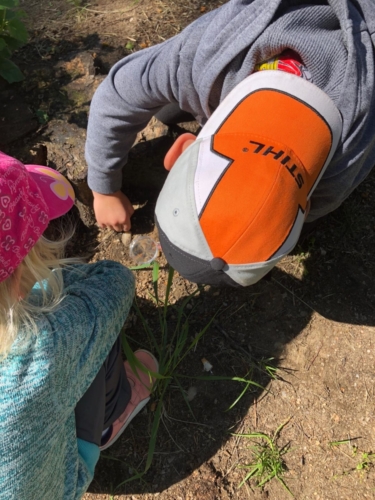 IMG-20190530-WA0000