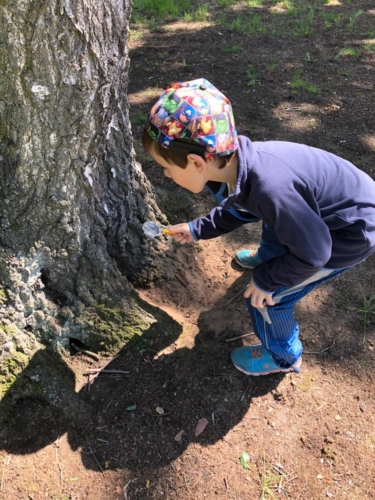 IMG-20190530-WA0001