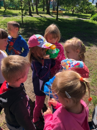 IMG-20190530-WA0002