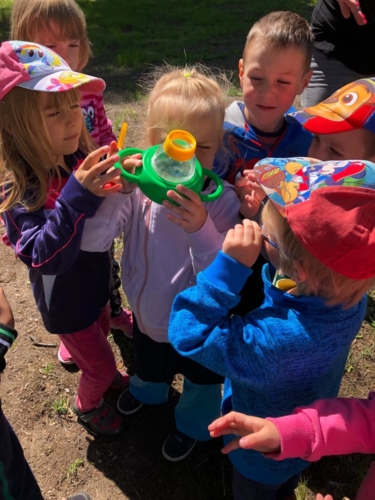 IMG-20190530-WA0003