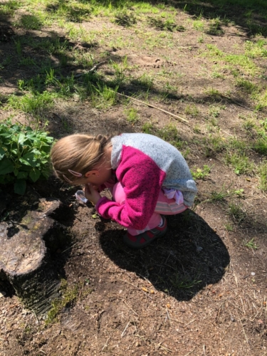 IMG-20190530-WA0014