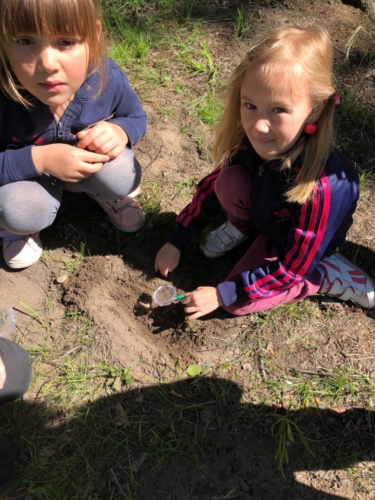 IMG-20190530-WA0015
