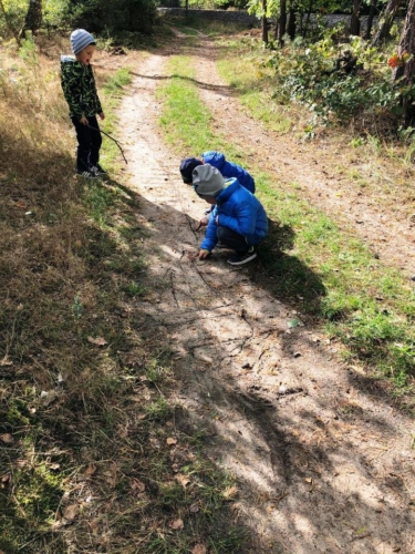 IMG-20180926-WA0001