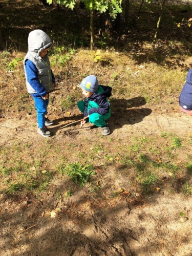 IMG-20180926-WA0008