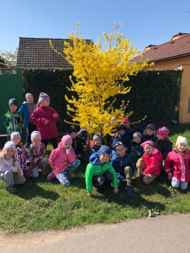 IMG-20190426-WA0021
