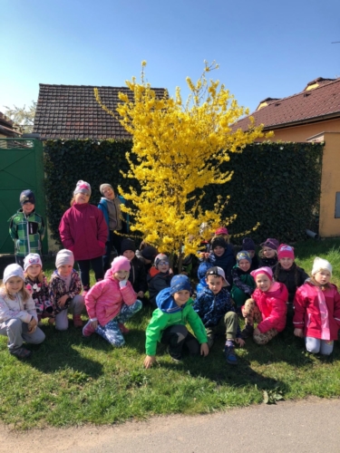 IMG-20190426-WA0030