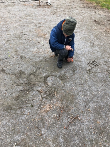 IMG-20190516-WA0012