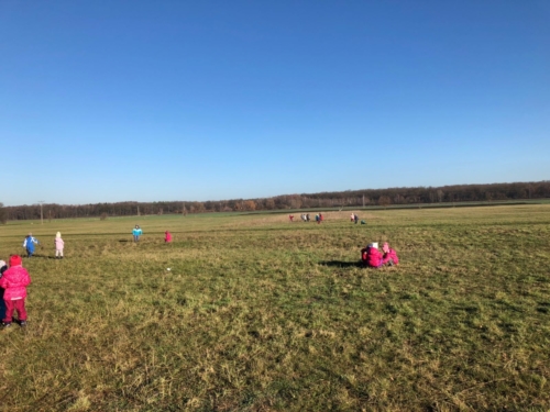 IMG-20190130-WA0275