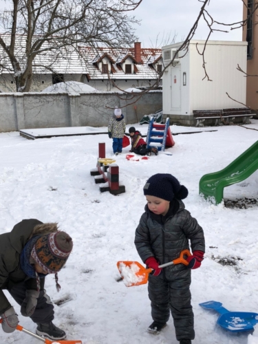 IMG-20190204-WA0008