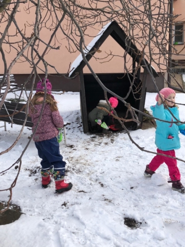 IMG-20190204-WA0010
