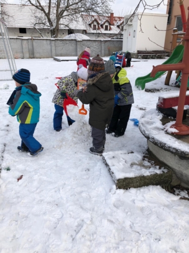 IMG-20190204-WA0011