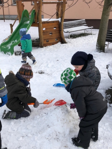 IMG-20190204-WA0014