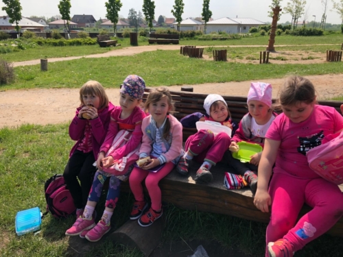IMG-20190503-WA0005