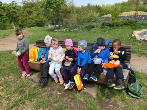 IMG-20190503-WA0006