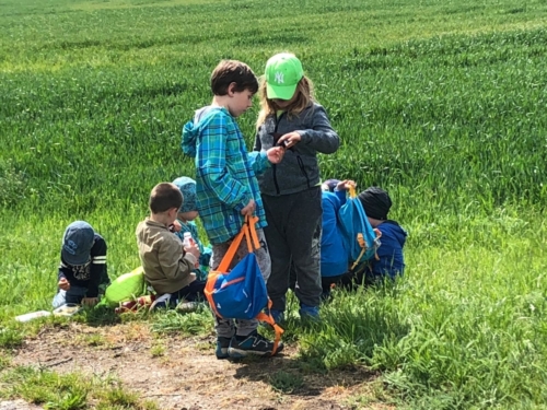 IMG-20190503-WA0007