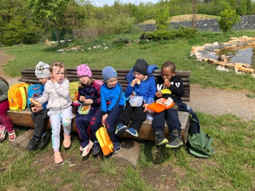 IMG-20190503-WA0013