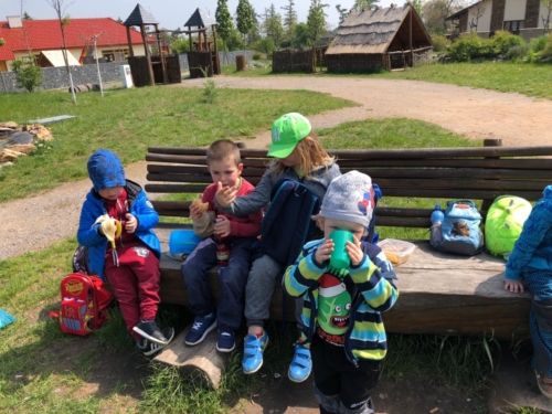 IMG-20190503-WA0015