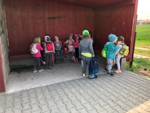 IMG-20190503-WA0018