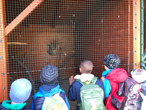 IMG-20190503-WA0033