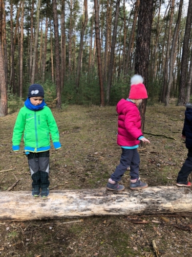 IMG-20190315-WA0002