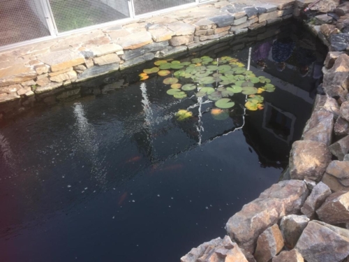 IMG-20191027-WA0052