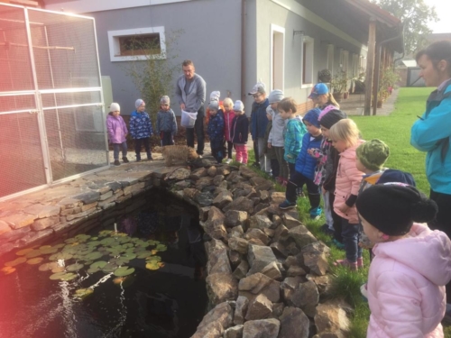 IMG-20191027-WA0054
