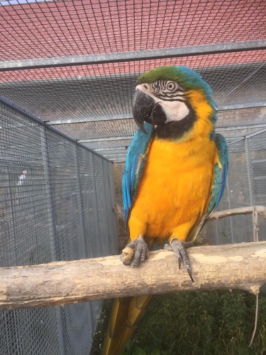 IMG-20191027-WA0056