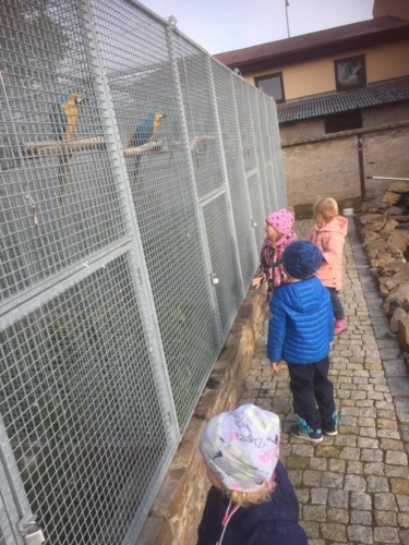 IMG-20191027-WA0057