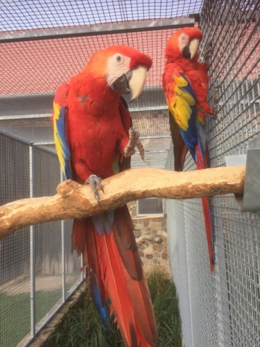 IMG-20191027-WA0058